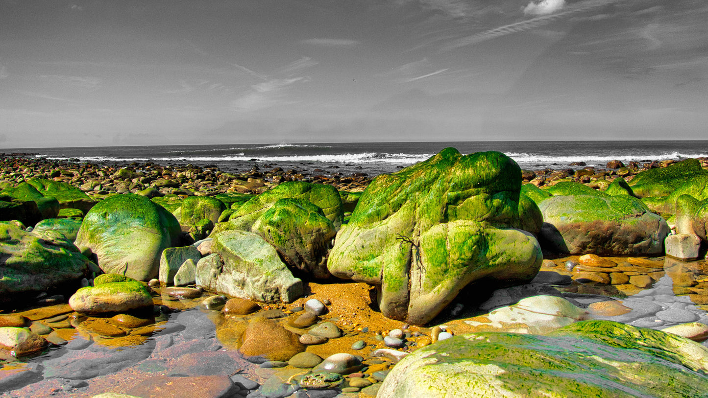 Green Whale Rock - Photo - Photographer Martin Fisher