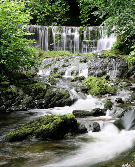 Lower Stock Ghyll Ambleside - Photo - Photographer Darron Matthews