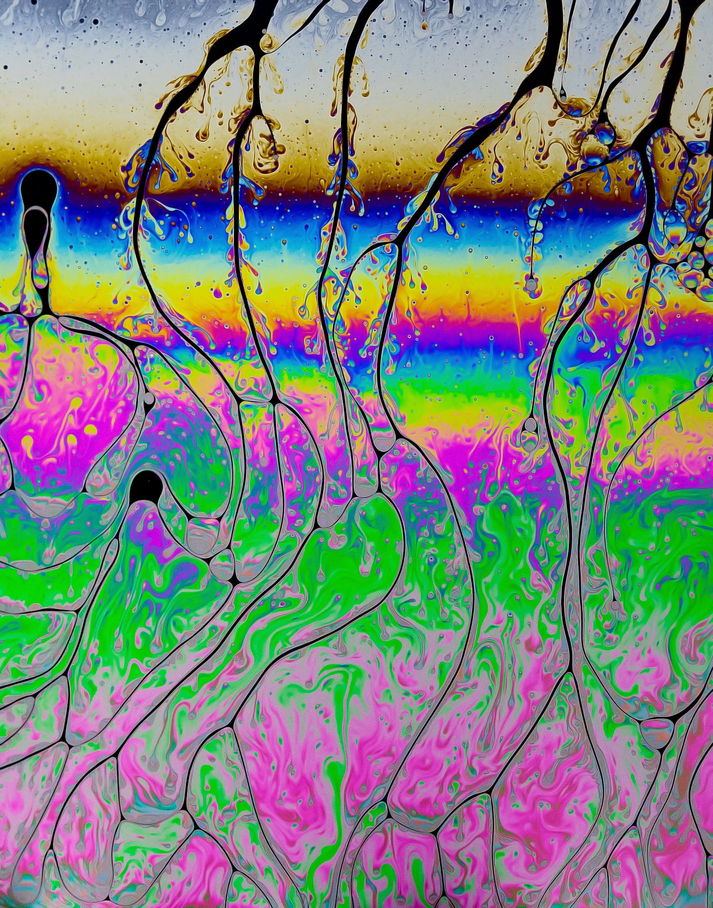 Psychedelic Liquid Rainbow 02 (2 OF 3) - Photo - Photographer Darron Matthews