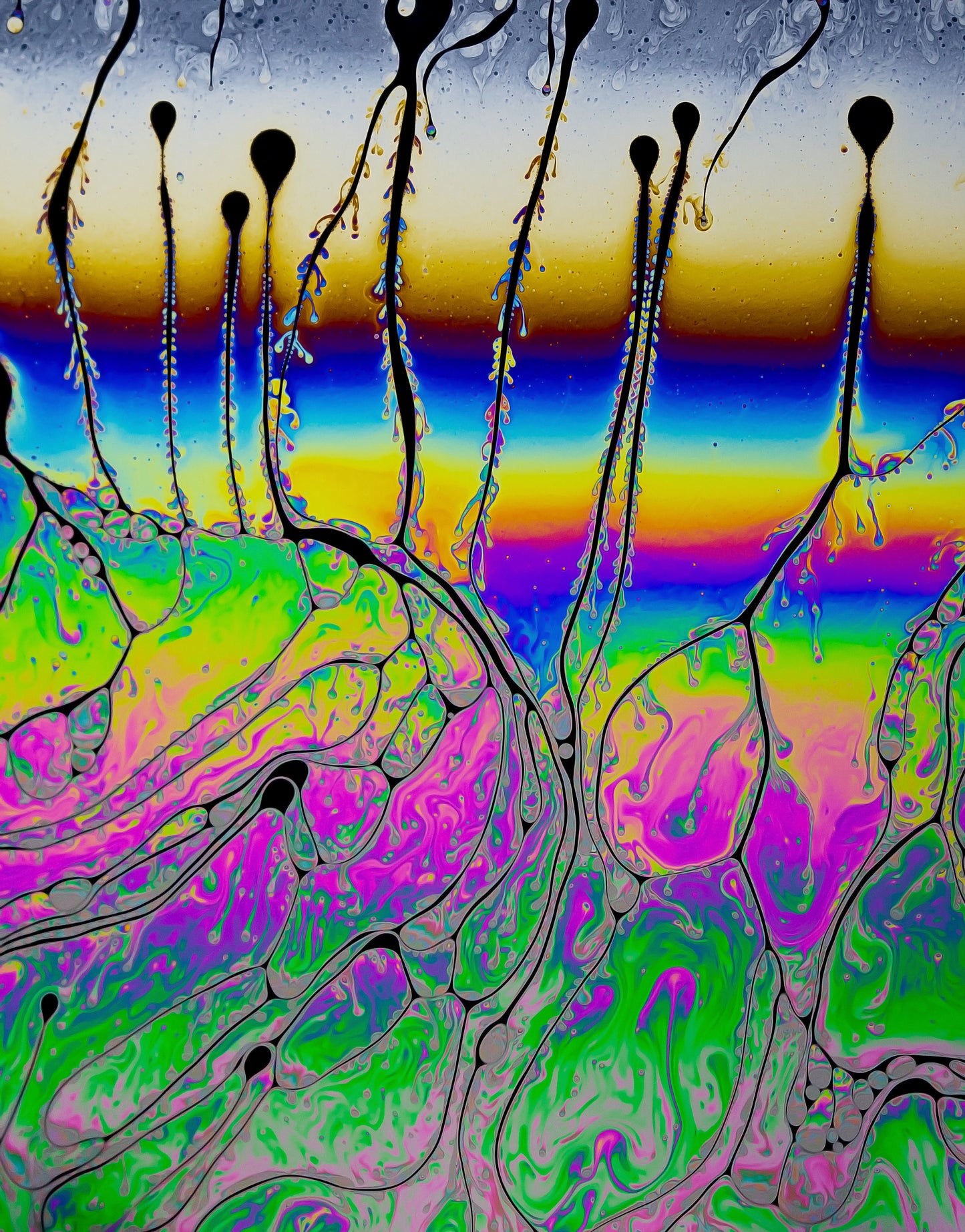 Psychedelic Liquid Rainbow 03 (3 OF 3) - Photo - Photographer Darron Matthews