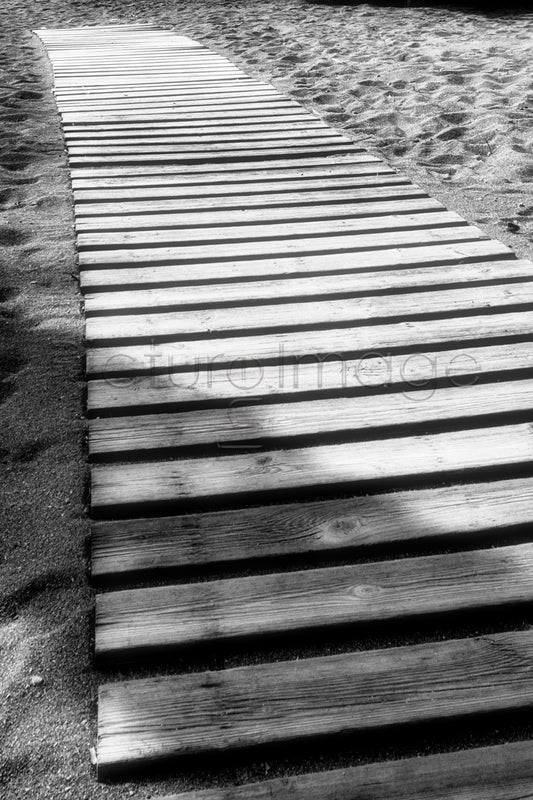 Sand Planks - DSC01515 - Photo - Photographer Martin Fisher
