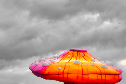 UFO Has Landed - DSC07754 - Photo - Photographer Martin Fisher